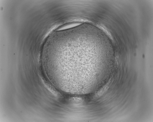 X0000087740159200705211021