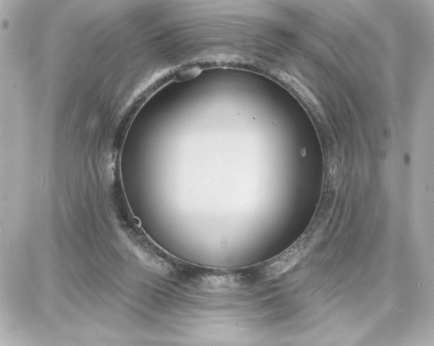 X0000087740160200705211021