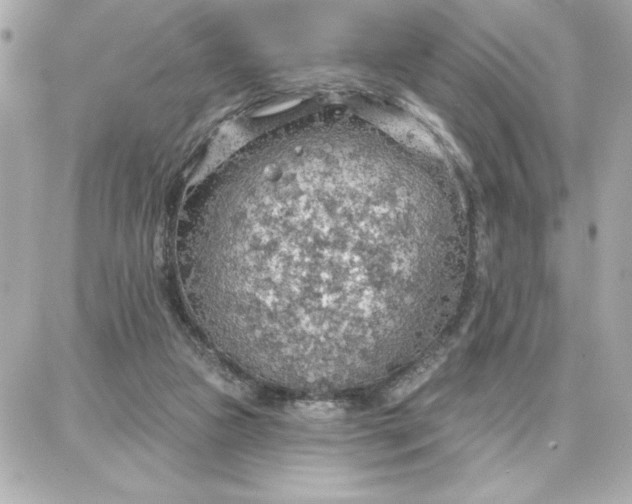 X0000087740161200705211021