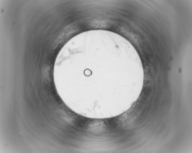 X0000087740162200705211021