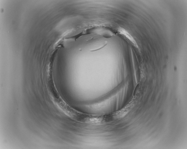 X0000087740163200705211021