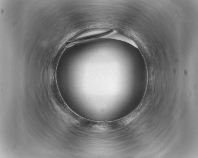 X0000087740164200705211021