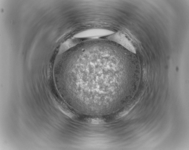 X0000087740165200705211021