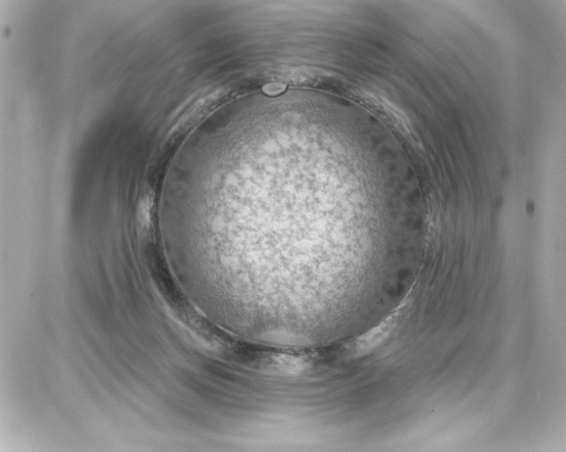 X0000087740166200705211021