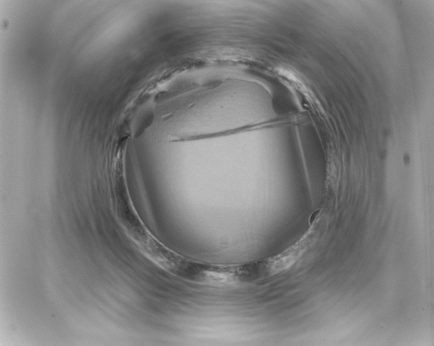 X0000087740167200705211021