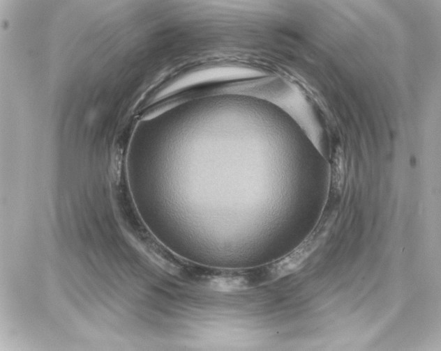 X0000087740168200705211021