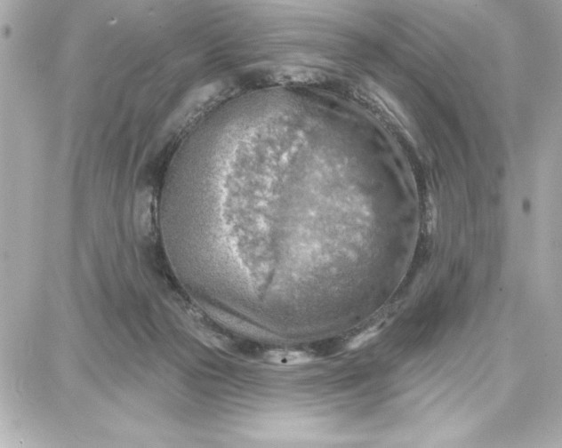 X0000087740169200705211021