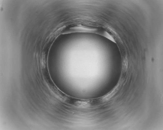 X0000087740170200705211021