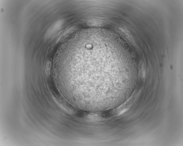 X0000087740171200705211021