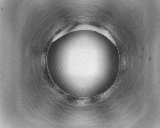 X0000087740172200705211021