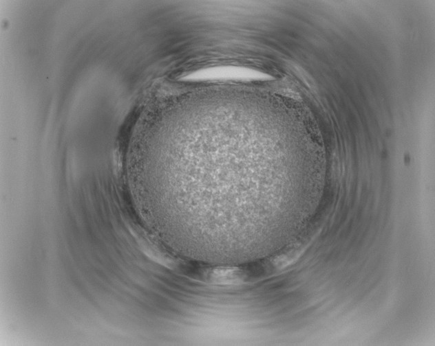 X0000087740173200705211021