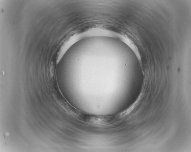 X0000087740174200705211021