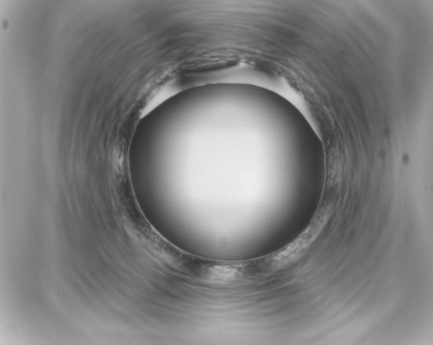 X0000087740176200705211021