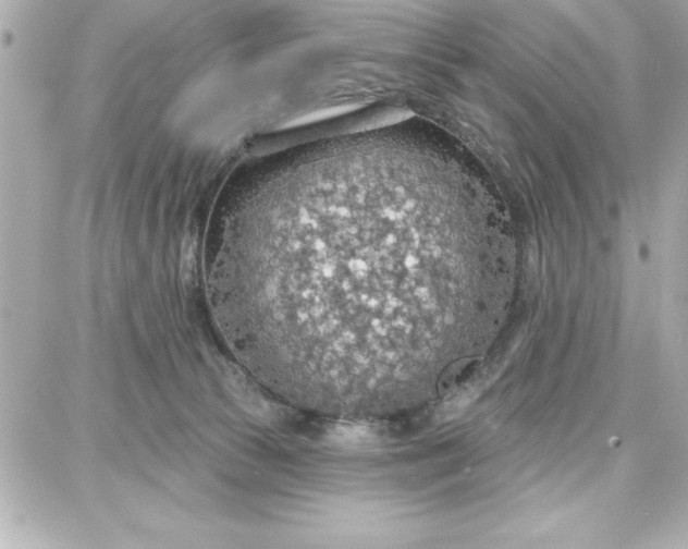 X0000087740177200705211021