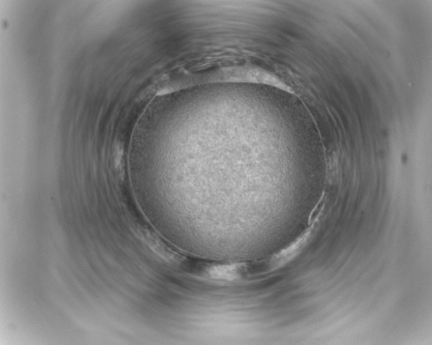 X0000087740178200705211021