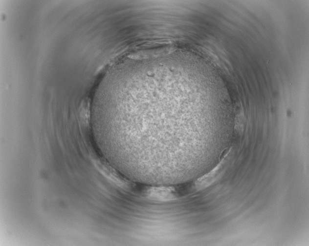 X0000087740179200705211021