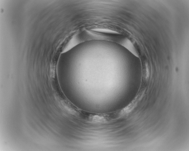 X0000087740180200705211021