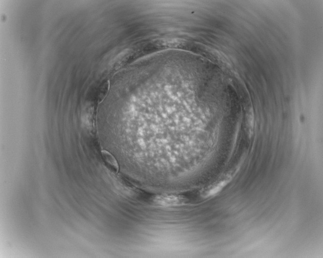 X0000087740181200705211021