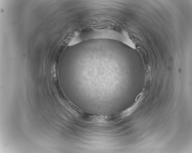 X0000087740182200705211021