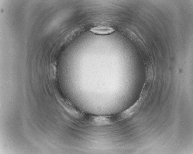 X0000087740183200705211021