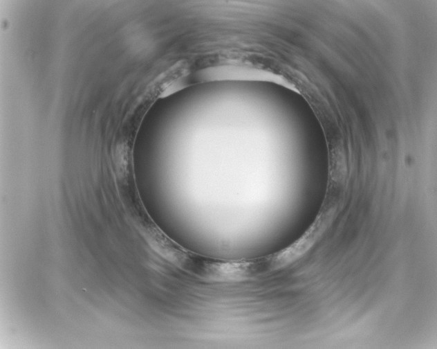 X0000087740184200705211021