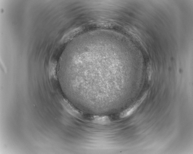 X0000087740185200705211021