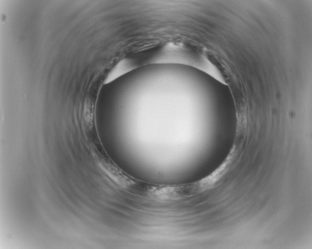 X0000087740186200705211021