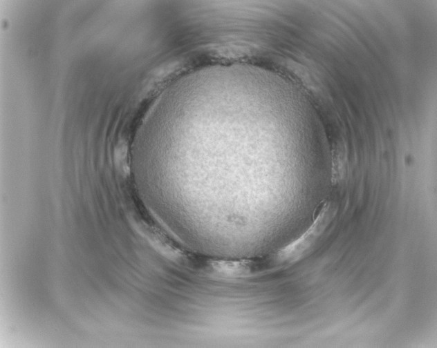 X0000087740187200705211021