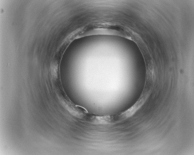 X0000087740188200705211021