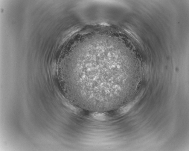 X0000087740189200705211021