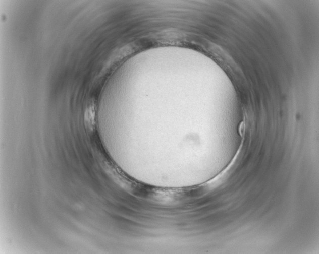 X0000087740190200705211021