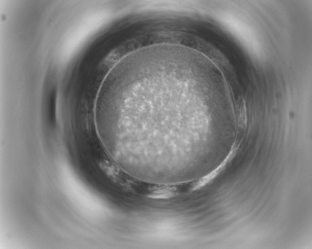 X0000087740191200705211021