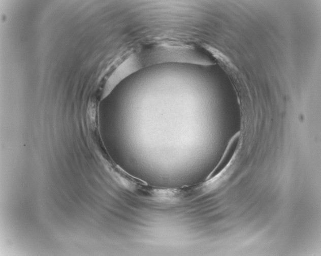 X0000087740192200705211021