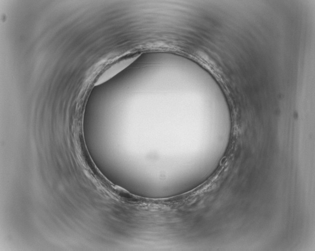 X0000087740193200705211021