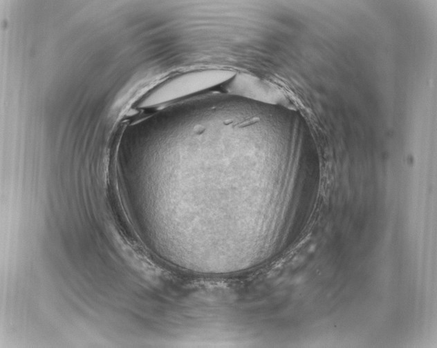 X0000087740194200705211021