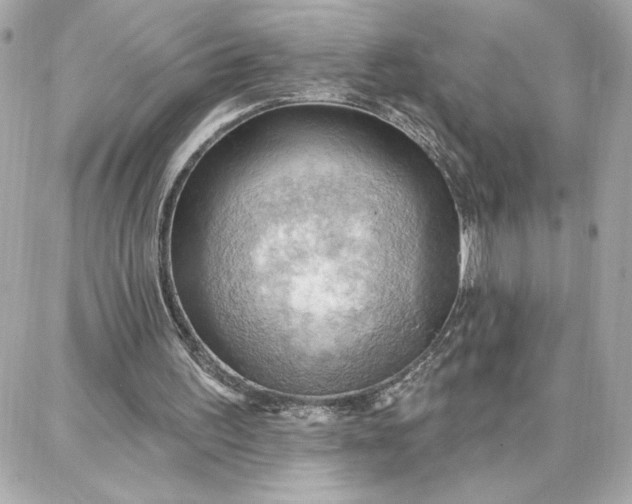 X0000087740195200705211021