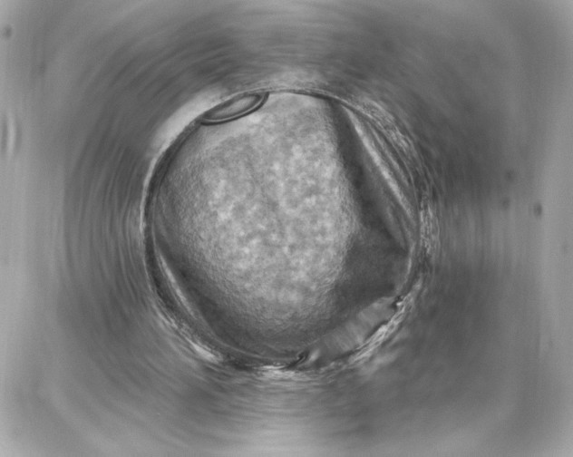 X0000087740196200705211021