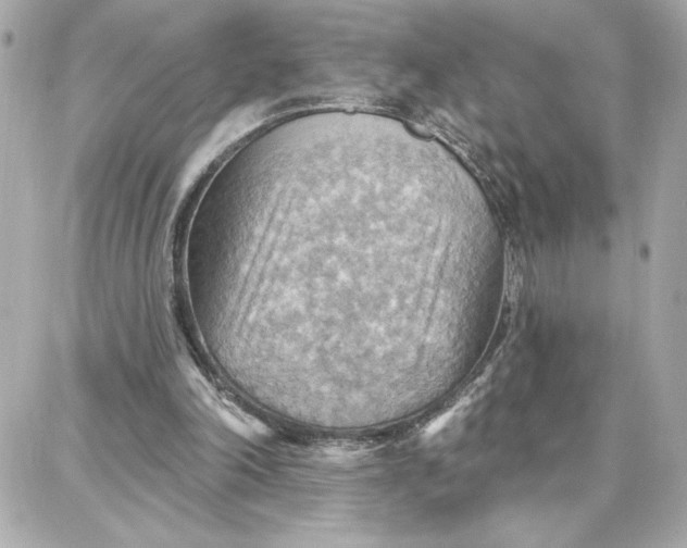 X0000087740198200705211021