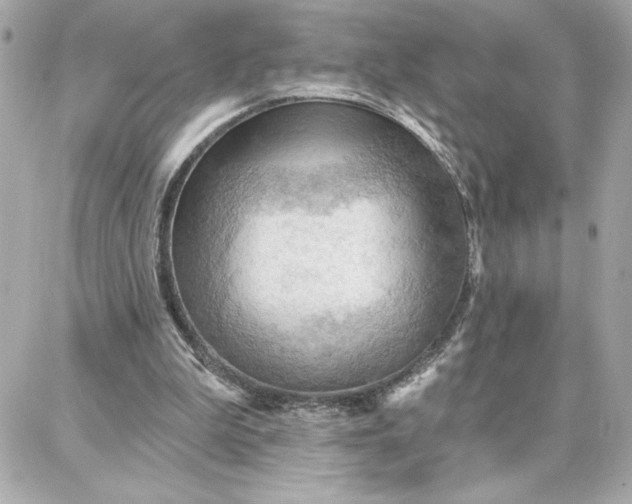 X0000087740199200705211021