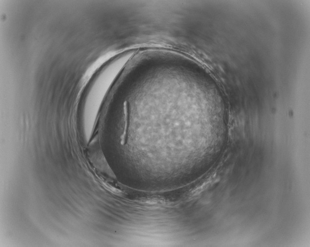 X0000087740200200705211021