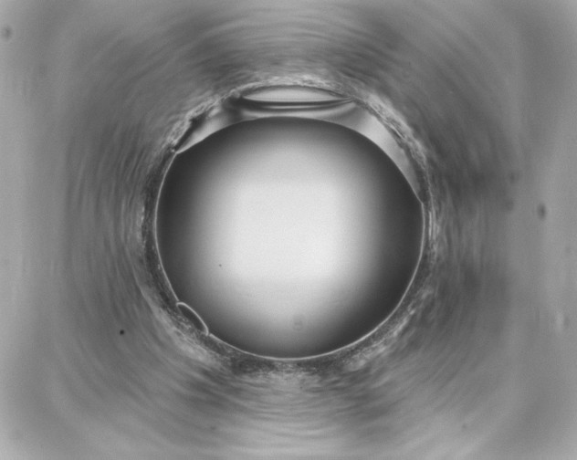 X0000087740201200705211021