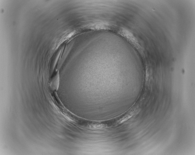 X0000087740202200705211021