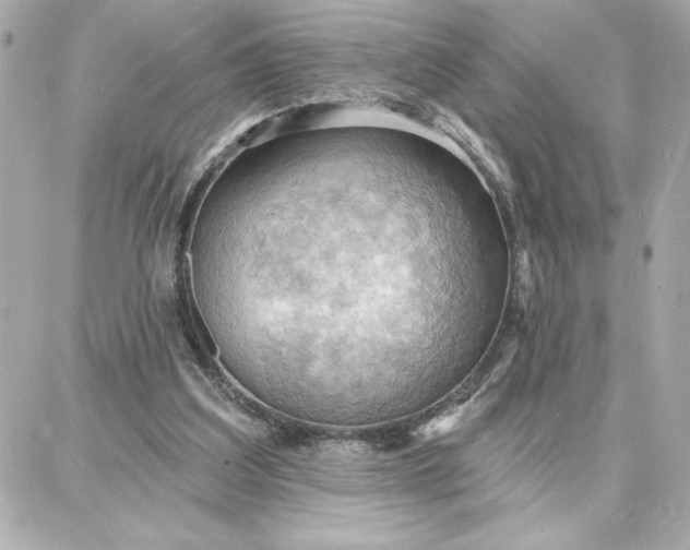 X0000087740203200705211021