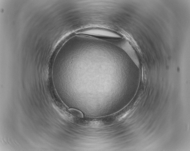 X0000087740204200705211021