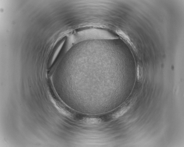 X0000087740205200705211021