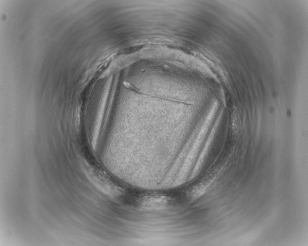 X0000087740206200705211021