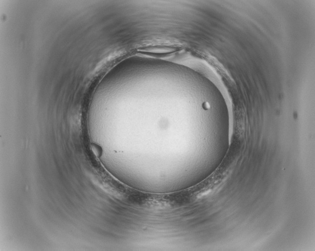 X0000087740207200705211020