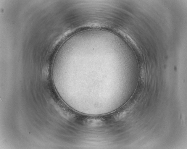 X0000087740208200705211020