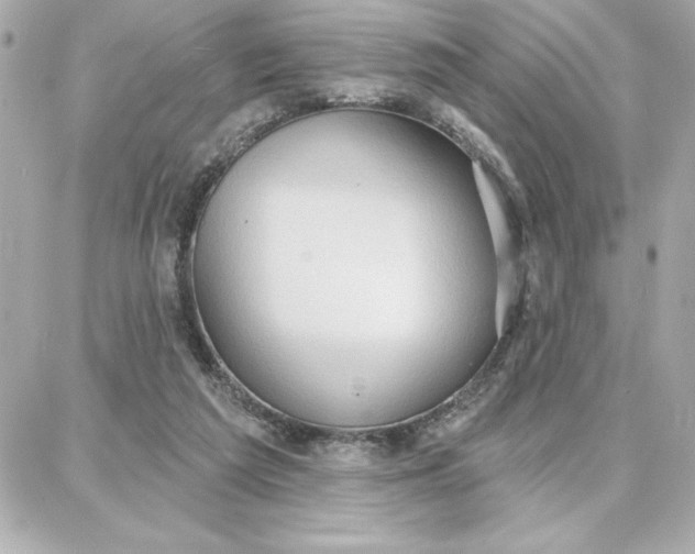 X0000087740209200705211020