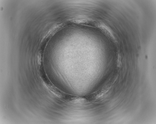 X0000087740210200705211020